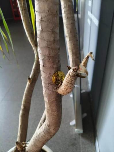 微信图片_2025-10-22_222620_898