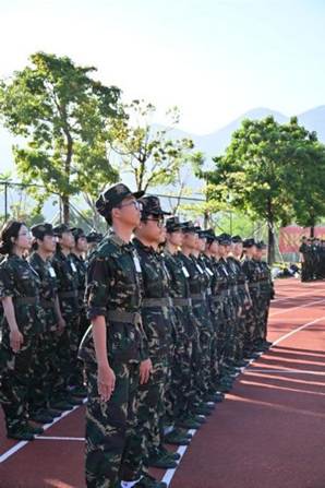 图片包含 游戏机, 树 AI 生成的内容可能不正确。